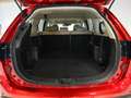 Mitsubishi Outlander 2.0 200 MPI KAITEKI CVT 4WD 7STR 150 5P 7 PLAZAS Rojo - thumbnail 13