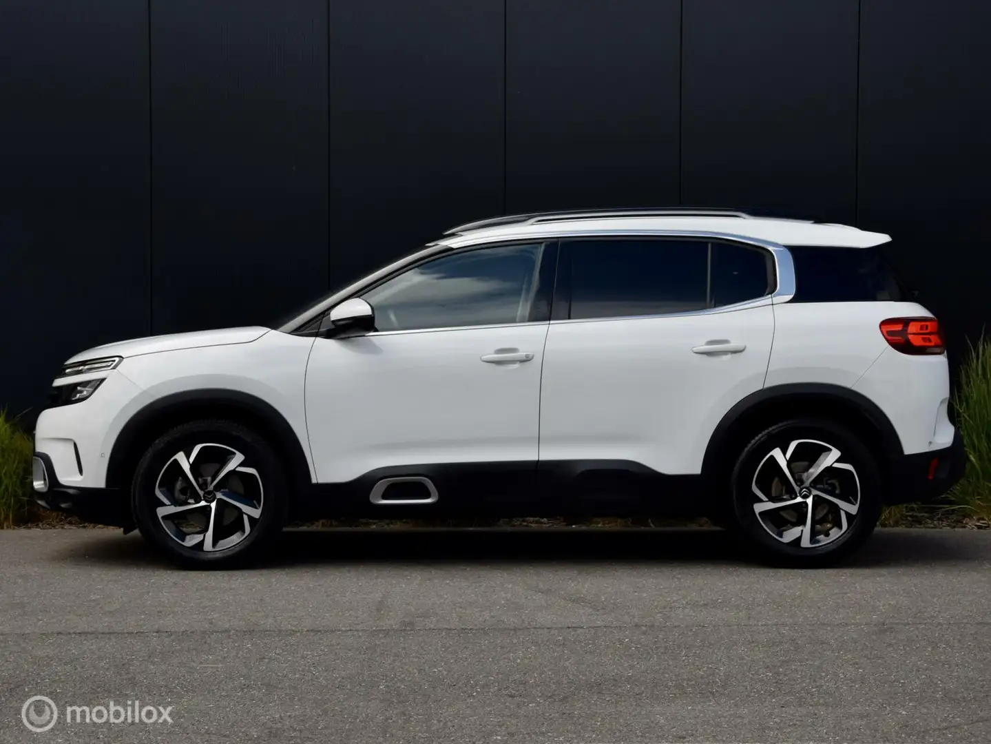Citroen C5 Aircross 1.6 180pk Shine Automaat I Navi I Trekha Wit - 2
