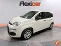 Fiat Panda Hybrid 1.0 Gse 51kw (70CV) Blanc - thumbnail 3