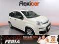 Fiat Panda Hybrid 1.0 Gse 51kw (70CV) Blanc - thumbnail 1