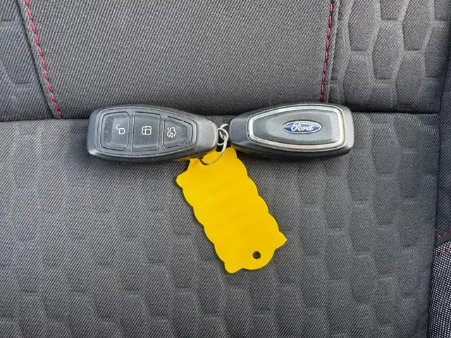 Ford Fiesta view 15