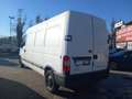 Opel Movano Bianco - thumbnail 5