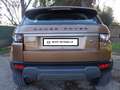 Land Rover Range Rover Evoque Range Rover Evoque 5p 2.2 td4 Dynamic150cv auto 9m Bronzo - thumbnail 6