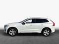 Volvo XC60 XC60 B5 B AWD Core Weiß - thumbnail 4