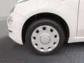 Fiat 500 ECO 1.2 69 Collezione Weiß - thumbnail 13