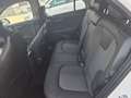 Kia Niro 1.6 GDI 129CH HEV ACTIVE DCT6 Wit - thumbnail 17