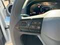 SEAT Ibiza Reference Edition 1.0 80PS Weiß - thumbnail 9