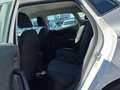 SEAT Ibiza Reference Edition 1.0 80PS Weiß - thumbnail 6