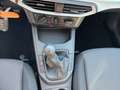 SEAT Ibiza Reference Edition 1.0 80PS Weiß - thumbnail 13