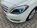 Mercedes-Benz B 180 CDI Edition Bi-Xen NAVI Temp SHZ PDC AHK Weiß - thumbnail 10