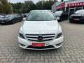 Mercedes-Benz B 180 CDI Edition Bi-Xen NAVI Temp SHZ PDC AHK Weiß - thumbnail 6