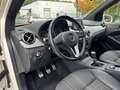 Mercedes-Benz B 180 CDI Edition Bi-Xen NAVI Temp SHZ PDC AHK Weiß - thumbnail 16