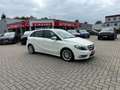 Mercedes-Benz B 180 CDI Edition Bi-Xen NAVI Temp SHZ PDC AHK Weiß - thumbnail 4