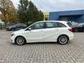 Mercedes-Benz B 180 CDI Edition Bi-Xen NAVI Temp SHZ PDC AHK Weiß - thumbnail 3
