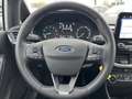 Ford Fiesta 1.0 Flexifuel 95ch Titanium Business 5p - thumbnail 14