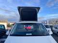 Volkswagen T6 California California Beach/Luftstandheizung/GRA/PDC/Drehsitz Alb - thumbnail 3