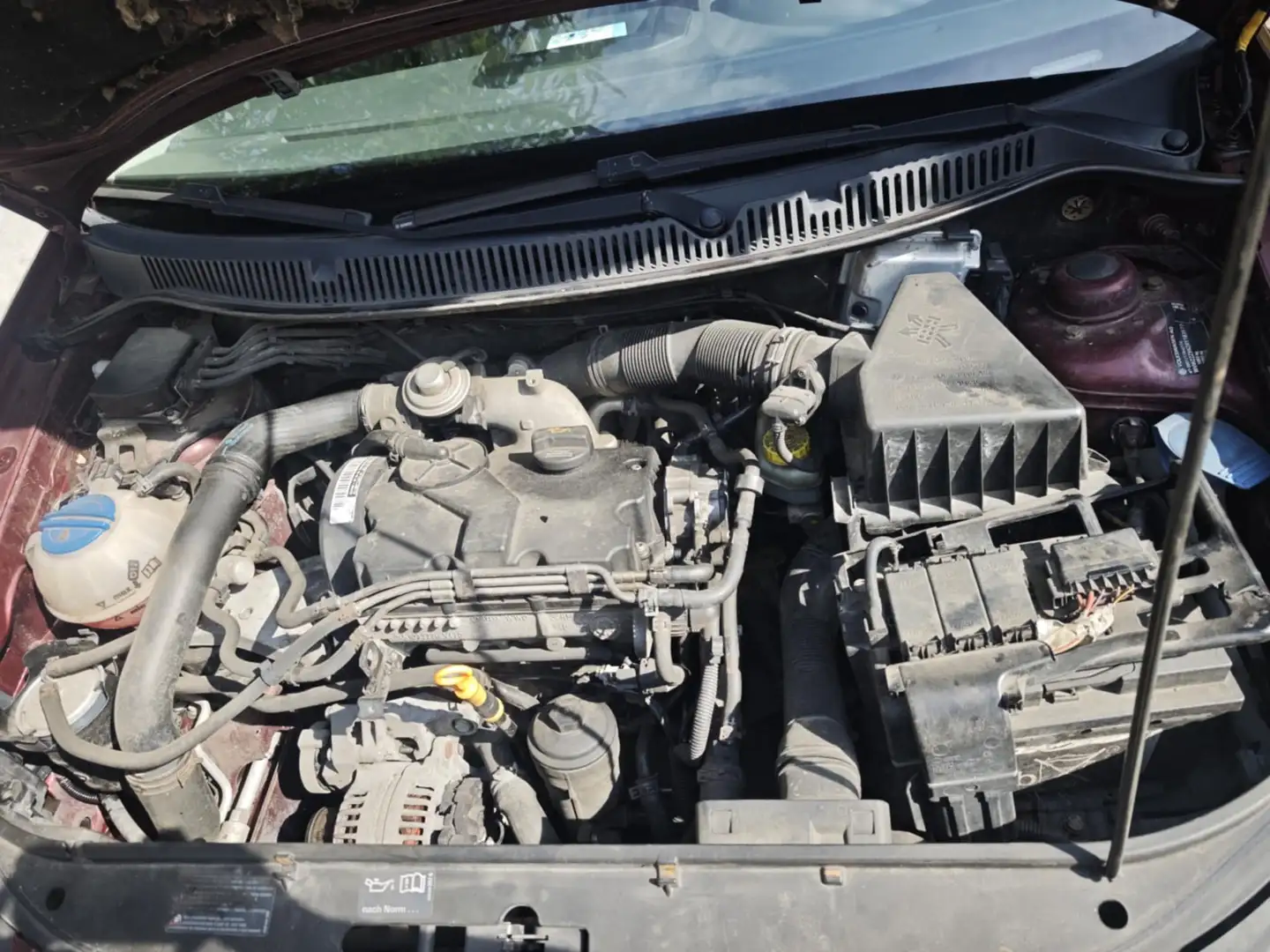 Volkswagen Polo 1.4 TDi Edition Rouge - 2