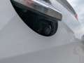 Volkswagen T-Roc Design TSI Weiß - thumbnail 25