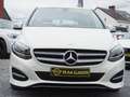 Mercedes-Benz B 200 ✅STYLE✅ 1erPROP-48.000KM-CLIM-PDC-JA-V.E-EU6b Blanc - thumbnail 7