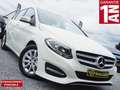 Mercedes-Benz B 200 ✅STYLE✅ 1erPROP-48.000KM-CLIM-PDC-JA-V.E-EU6b Blanc - thumbnail 1