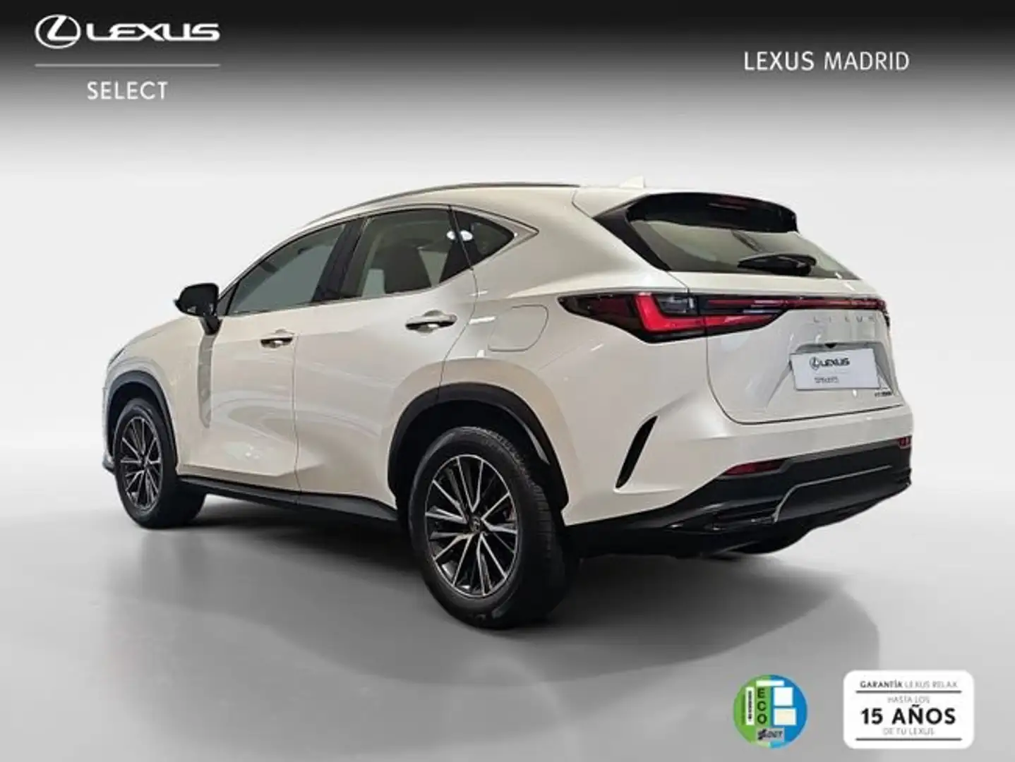 Lexus NX 350h Business City 2WD Blanco - 2