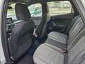 SEAT Arona 1.0 ecoTSI 110 CV DSG XPERIENCE Blanc - thumbnail 14