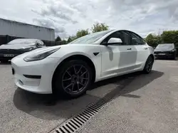 Tesla STANDARD PLUS RWD