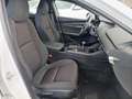 Mazda 3 Sedán 2.5 e-Skyactiv-G Prime-line 103kW - thumbnail 21