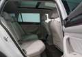 Volkswagen Passat Alltrack Passat Variant Alltrack 4Motion 2.0 TDI*PANO*AHK Weiß - thumbnail 34