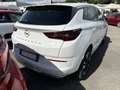 Opel Grandland X Grandland I 2022 1.2 Business Elegance s Bianco - thumbnail 5