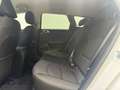 Kia Ceed SW / cee'd SW Vision KAMERA / SPUR/ TEMPOMAT Weiß - thumbnail 13