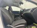 Kia Ceed SW / cee'd SW Vision KAMERA / SPUR/ TEMPOMAT Weiß - thumbnail 12