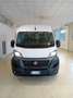 Fiat Ducato eDucato 35 122CV PLM-SL-TA Furgone battery 47kWh - thumbnail 5