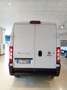 Fiat Ducato eDucato 35 122CV PLM-SL-TA Furgone battery 47kWh - thumbnail 4