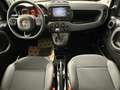 Fiat Panda 1.0 FireFly CROSS Hybrid RED Grey - thumbnail 8