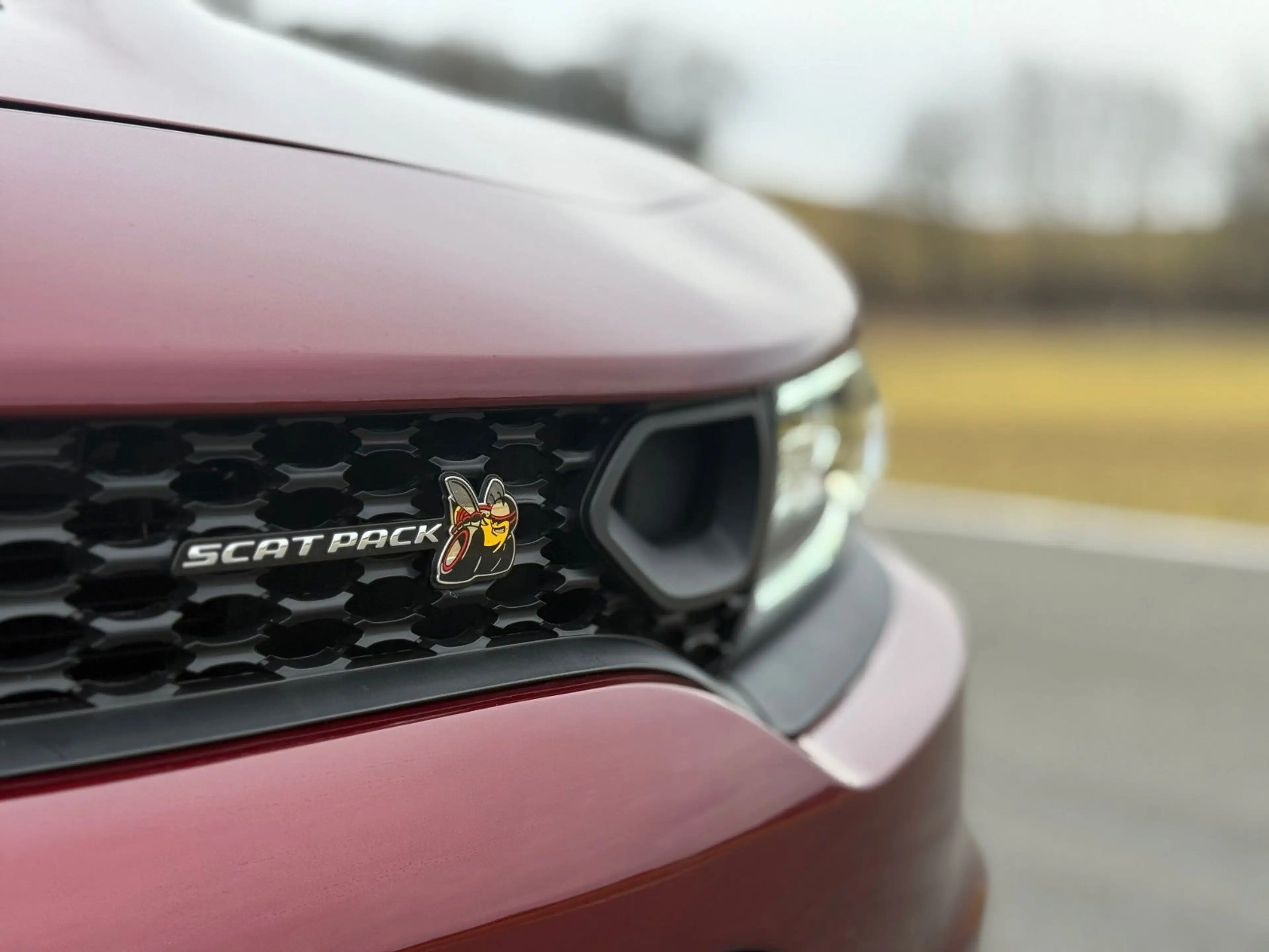 Dodge Charger Scat Pack 6.4l V8 — photo 11