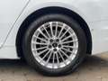 Audi A6 40 TDI design quattro S tronic AHK Kame Weiß - thumbnail 18