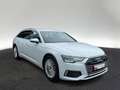 Audi A6 40 TDI design quattro S tronic AHK Kame Weiß - thumbnail 6