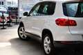 Volkswagen Tiguan Sport & Style BMT Highline+ 1.Hand Pano Wit - thumbnail 25
