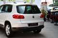 Volkswagen Tiguan Sport & Style BMT Highline+ 1.Hand Pano Wit - thumbnail 24