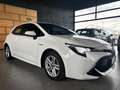 Toyota Corolla 1.8h Business NEOPATENTATI Bianco - thumbnail 5