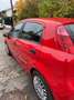 Fiat Punto Punto 1,2 69 Italia Italia Rot - thumbnail 2