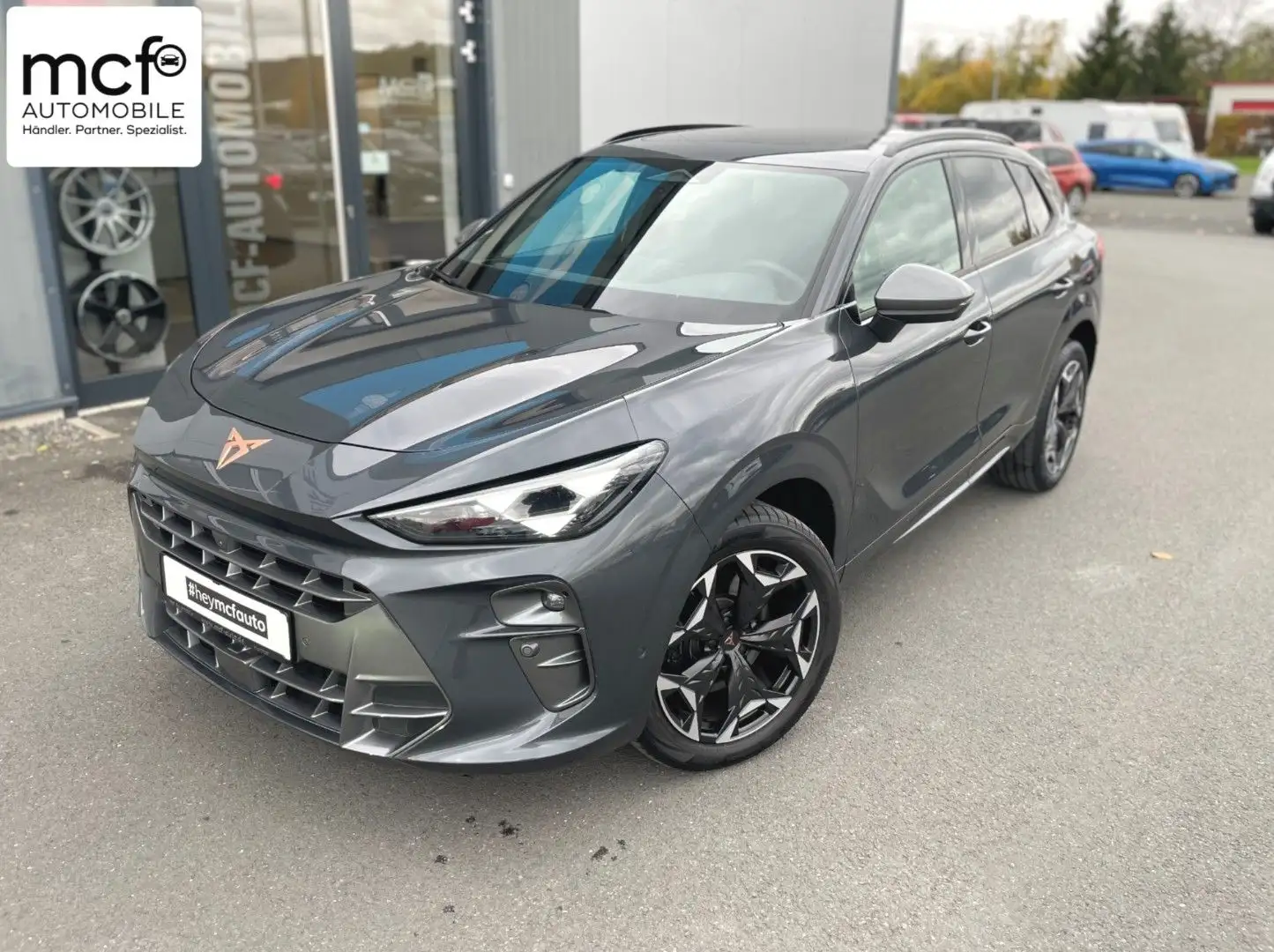 CUPRA Terramar 2.0 TSI 4Drive VZ *Matrix-LED*HuD*Pano* Gris - 1