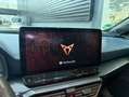 CUPRA Formentor 2.0 TDI 110kW (150 CV) 4Drive DSG Gris - thumbnail 10