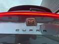CUPRA Formentor 2.0 TDI 110kW (150 CV) 4Drive DSG Gris - thumbnail 23