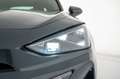 CUPRA Formentor Formentor 2.0 TDI DSG Blu/Azzurro - thumbnail 12