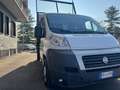 Fiat Ducato ribaltabile trilaterale anno 2011 mjt 2.3 Bílá - thumbnail 12