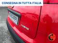 Fiat Panda 1.0 FIREFLY HYBRID CITY LIFE X NEOPATENTATI- Rosso - thumbnail 26