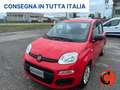 Fiat Panda 1.0 FIREFLY HYBRID CITY LIFE X NEOPATENTATI- Rojo - thumbnail 1
