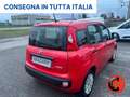 Fiat Panda 1.0 FIREFLY HYBRID CITY LIFE X NEOPATENTATI- Rosso - thumbnail 7